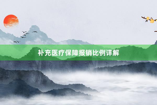补充医疗保障报销比例详解