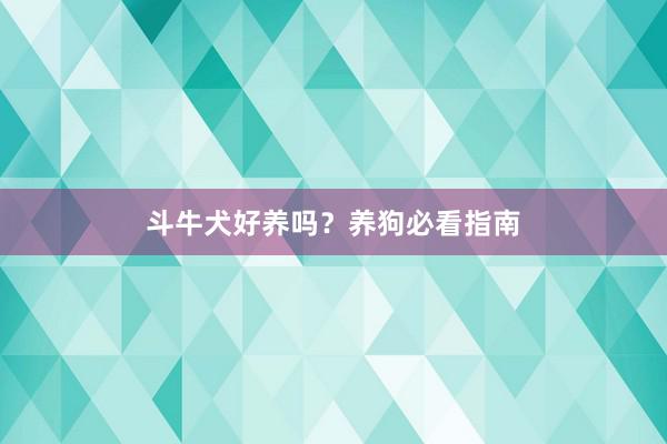 斗牛犬好养吗？养狗必看指南