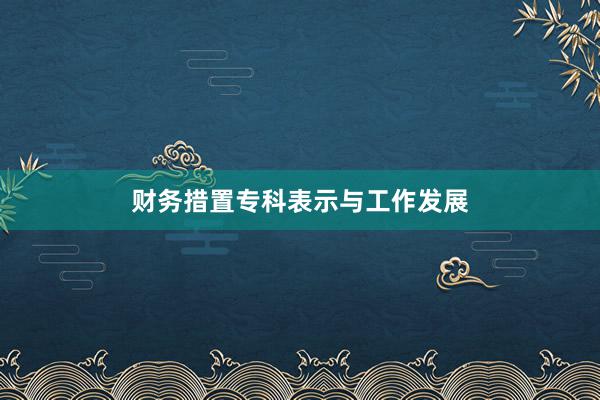 财务措置专科表示与工作发展